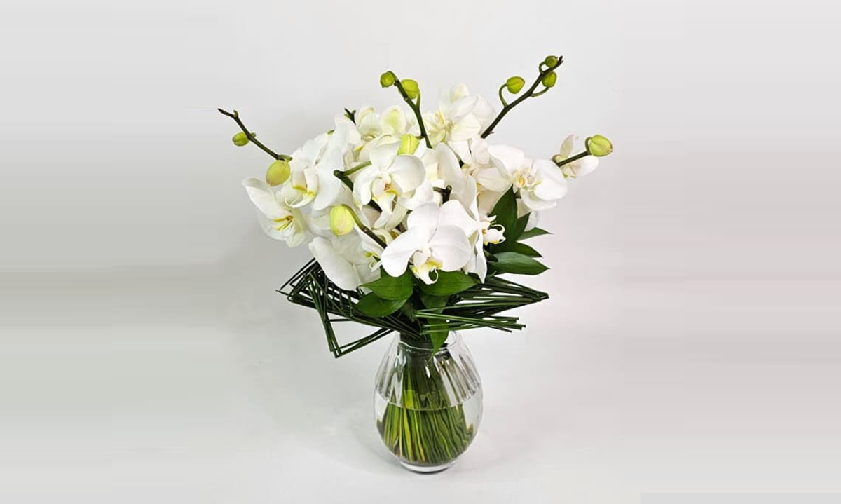 5 ideias de títulos