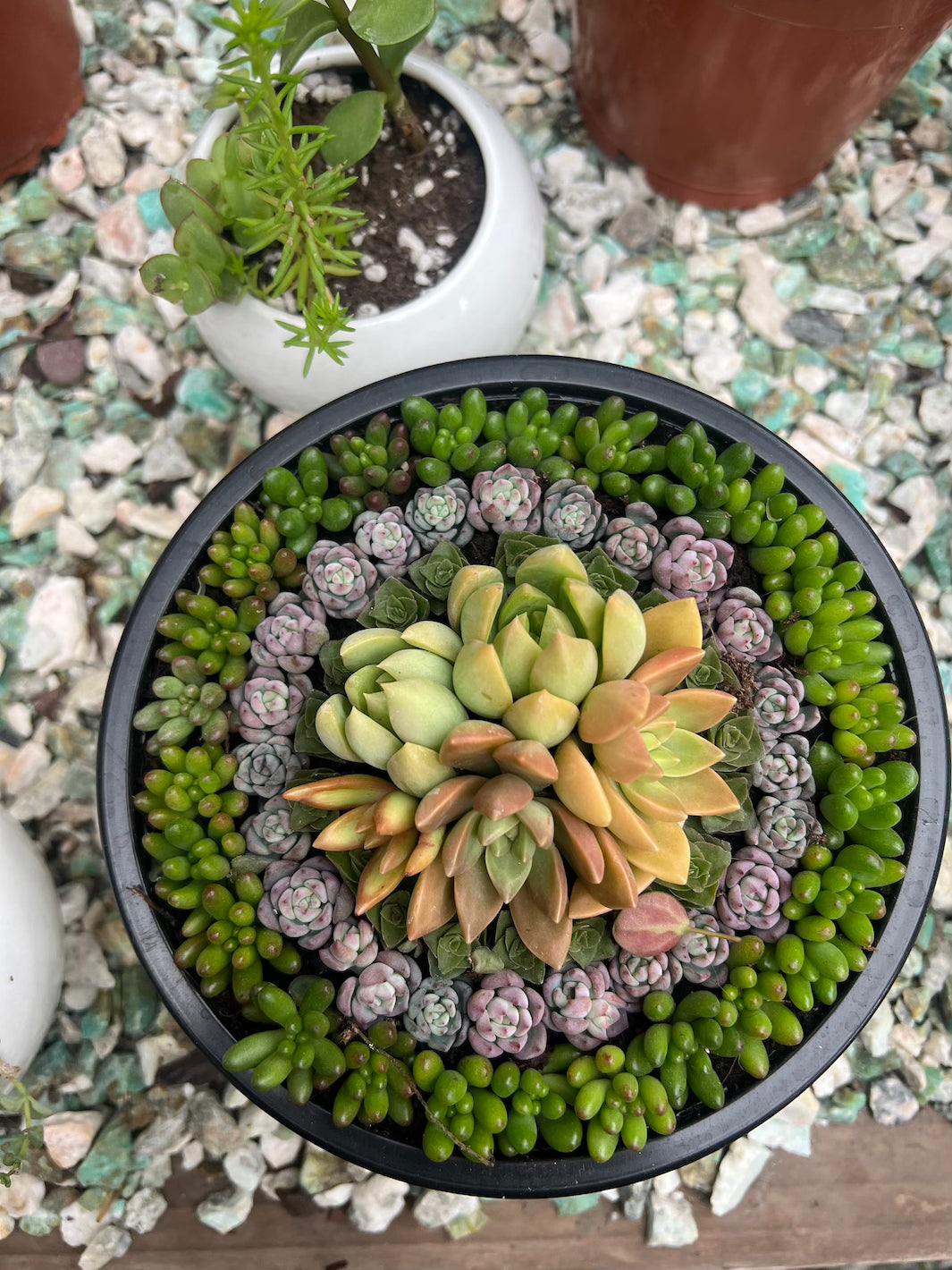 Buquê de Suculentas Artificiais: Durabilidade e Beleza para Presentear