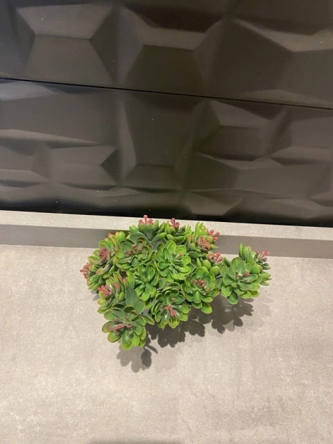 Significado das Suculentas em Buquês: Amor Duradouro e Prosperidade