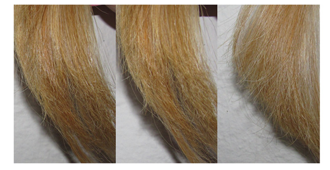 Cronograma Capilar Ideal para Resgatar Fios Danificados e Espigados