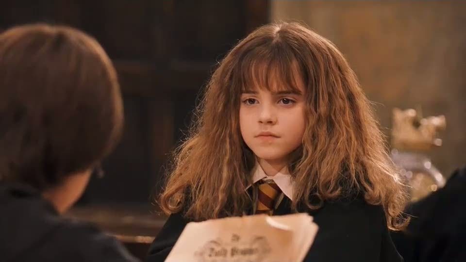 Onde Encontrar Acessórios de Cabelo Temáticos de Harry Potter