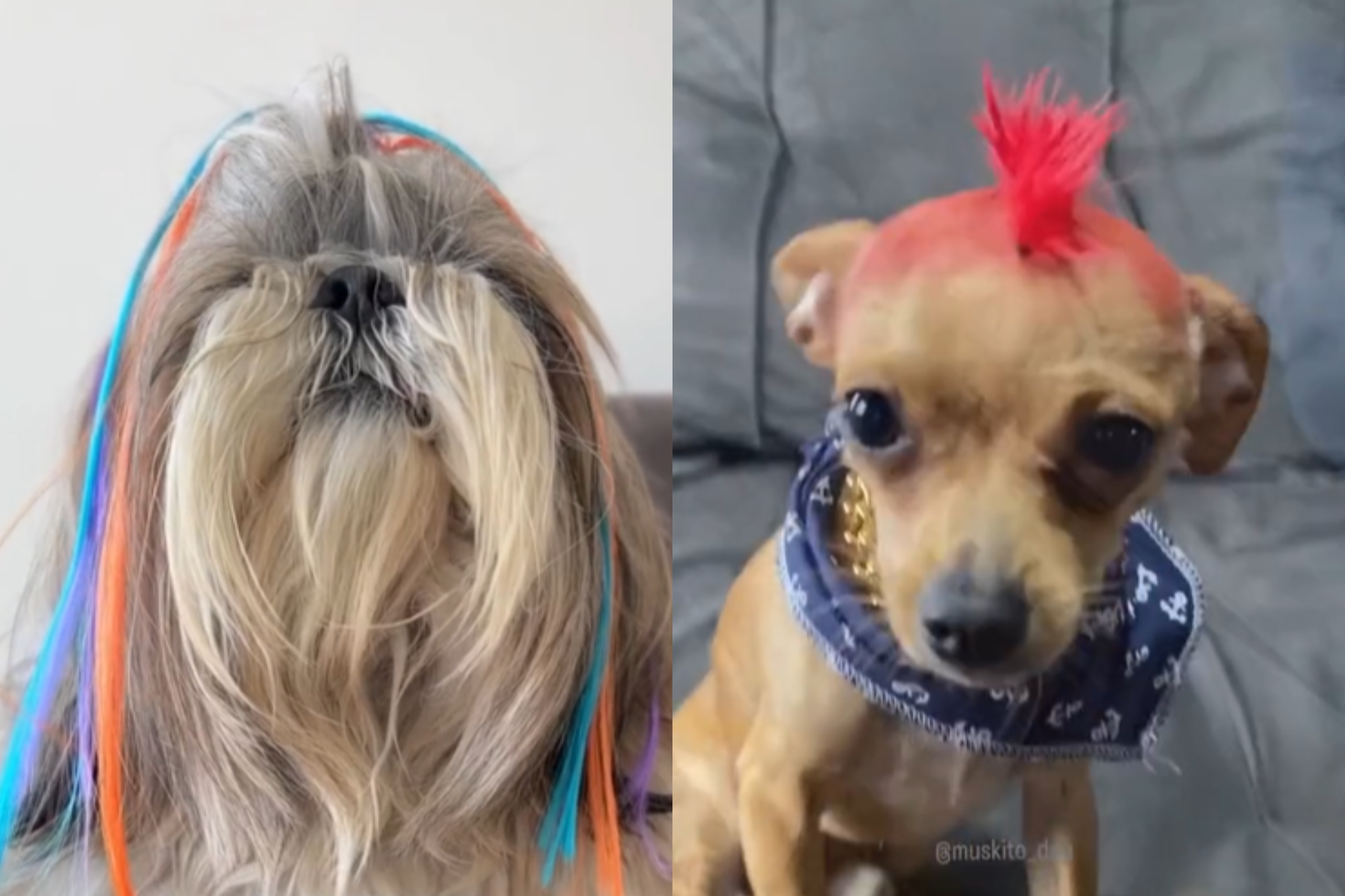 como fazer cabelo maluco com balões