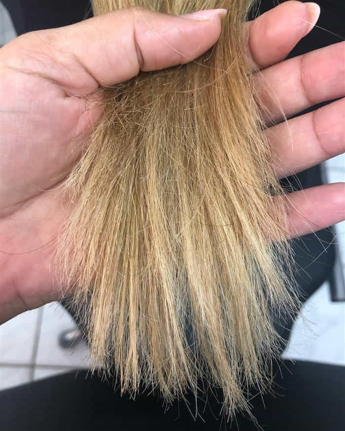 cabelo quebradiço
