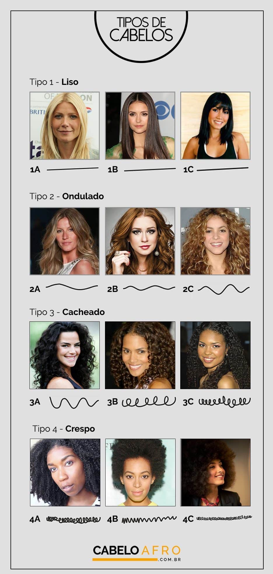 Nutrição e Modelagem