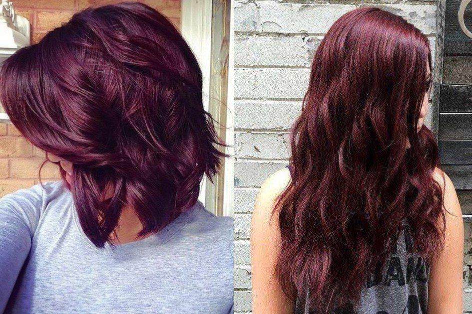 melhores inspirações cabelo acaju escuro para 2024