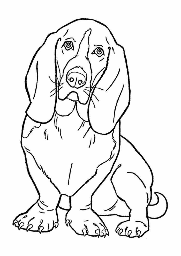 cachorro para pintar
