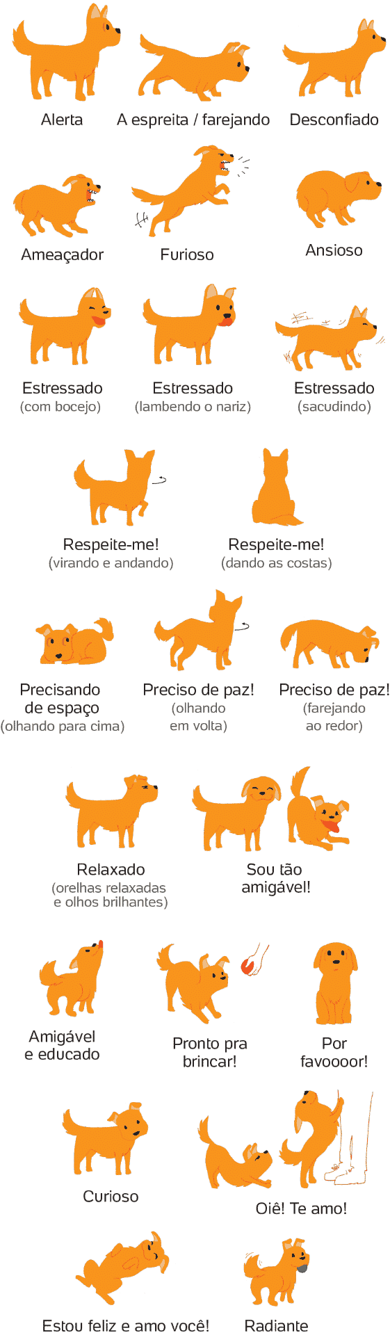 Cachorro Tem Sentimento