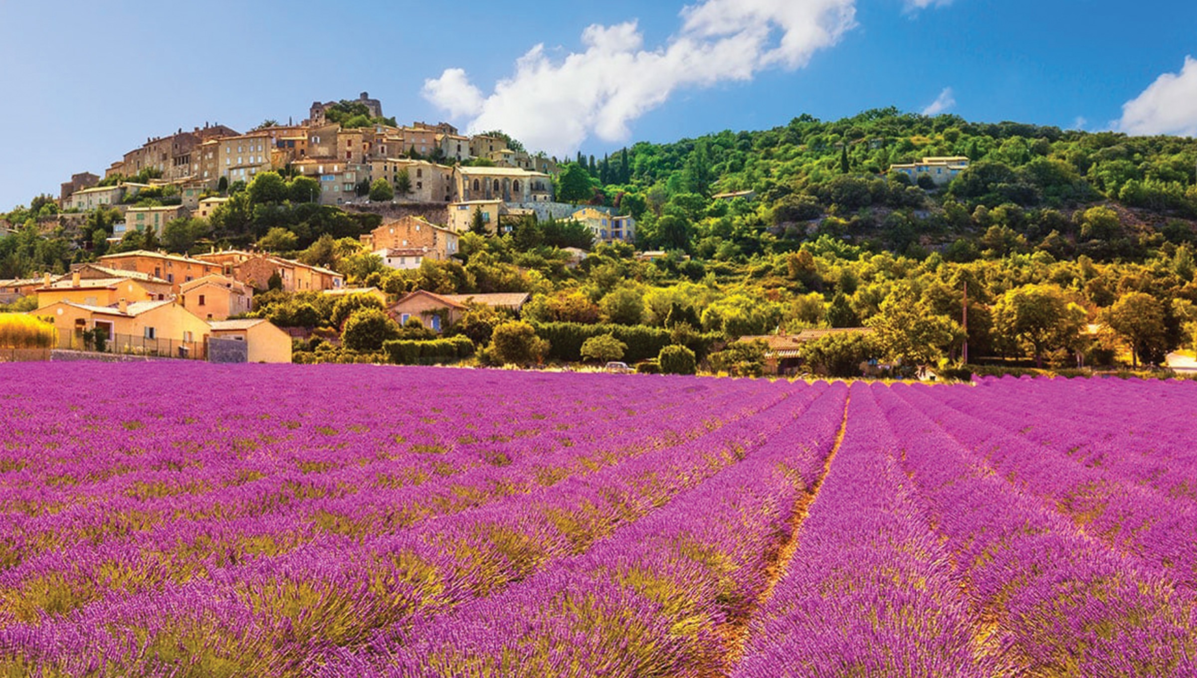 campos de provence