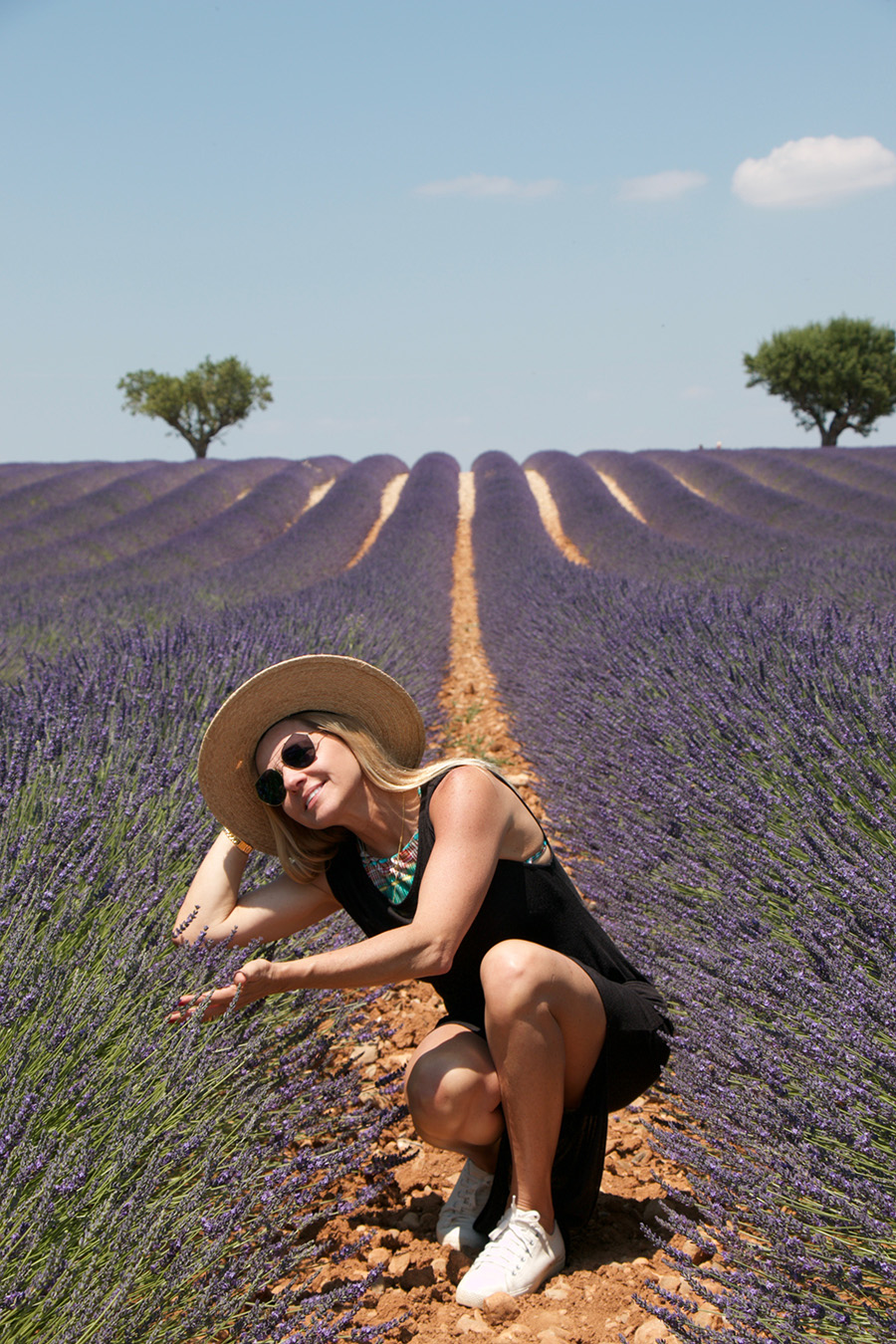 campos de provence