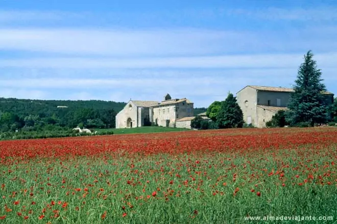 5 ideias de títulos:
1. Descubra a Magia da Pousada Campos de Provence em Campos do Jordão
2. Roteiro de Verão: Os Campos de Lavanda da Provence te Esperam
3. Campos do Jordão vs. Provence: Qual 