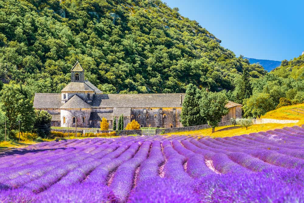 5 ideias de títulos:
1. Descubra a Magia da Pousada Campos de Provence em Campos do Jordão
2. Roteiro de Verão: Os Campos de Lavanda da Provence te Esperam
3. Campos do Jordão vs. Provence: Qual 