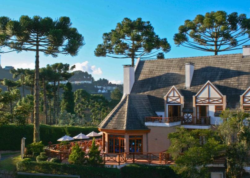 5 ideias de títulos:
1. Descubra a Magia da Pousada Campos de Provence em Campos do Jordão
2. Roteiro de Verão: Os Campos de Lavanda da Provence te Esperam
3. Campos do Jordão vs. Provence: Qual 