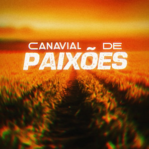 canavial de paixões