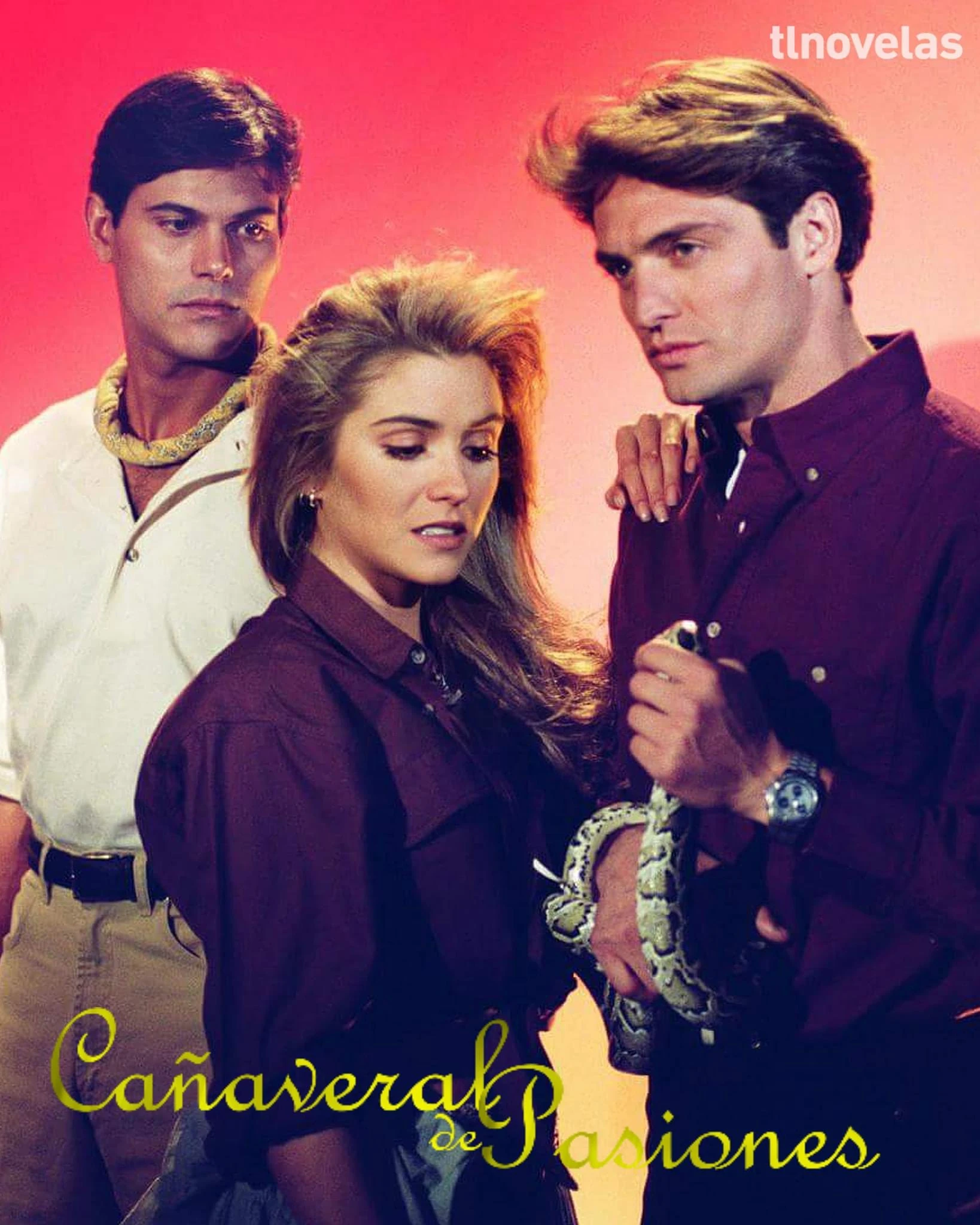 canavial de paixões