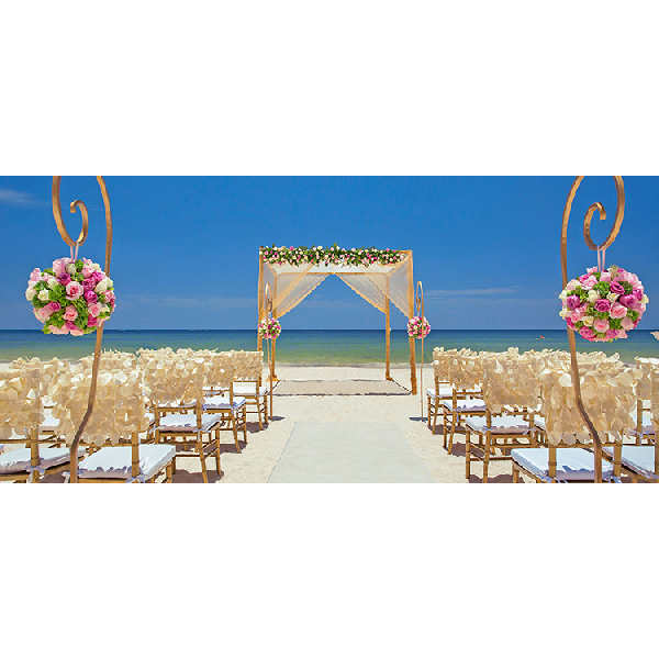 casamentos novidades