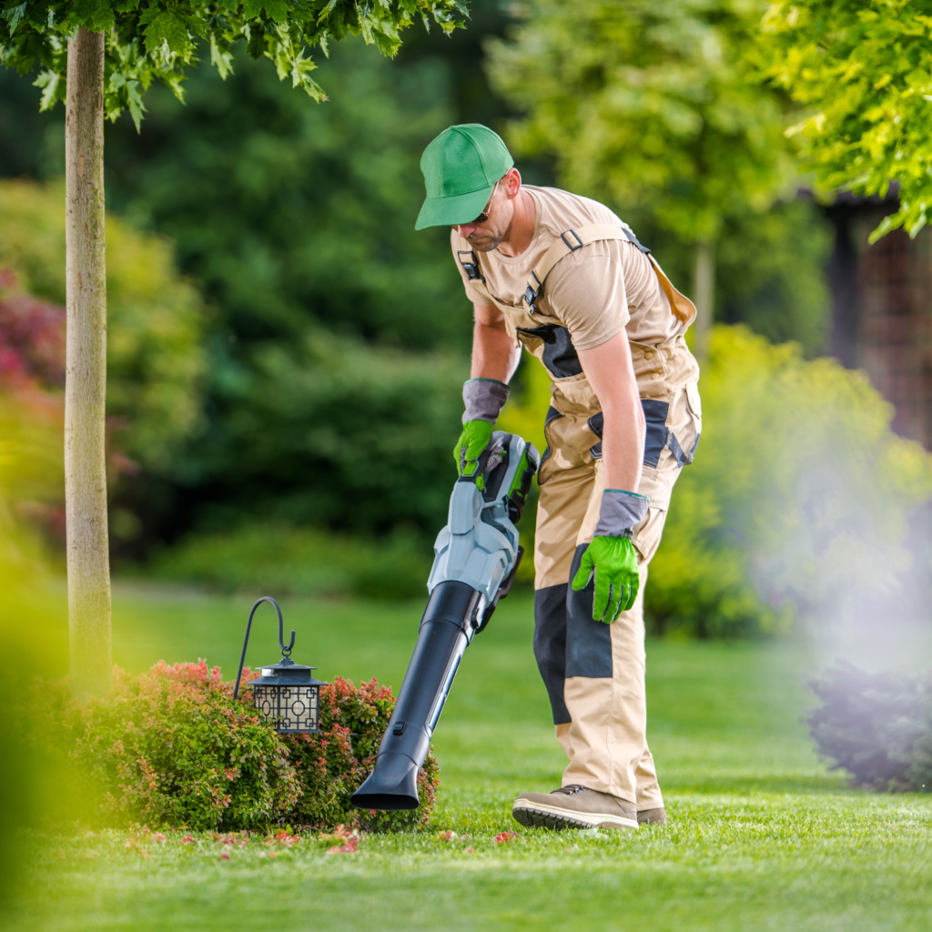 Caseiro: Guia Completo sobre a Profissão