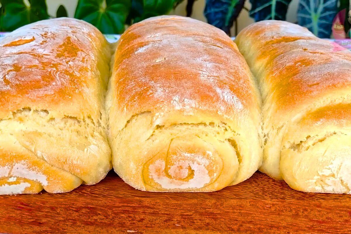 Direitos e Salário; Pessoa Caseira: Entenda o Significado e as Vantagens de Ser um Homebody; Receitas Caseiras Essenciais: Pão e Iogurte Feitos em Casa; Como Encontrar Vagas de Emprego para Caseiro: Dicas e Melhores Sites; Caseiro Doméstico vs. Trabalhador Rural: Qual a Diferença Legal?