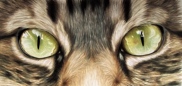 efeito olho de gato unhas