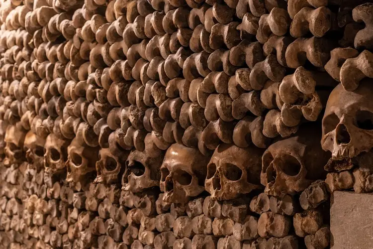 1. Alternativas às Catacumbas de Paris durante o fechamento.
2. A história sombria por trás das Catacumbas de Paris.
3. Guia completo para visitar as Catacumbas de Paris (quando reabrirem).
4. O que esperar da restauração das Catacumbas de Paris.
5. Passeios subterrâneos históricos em Paris.