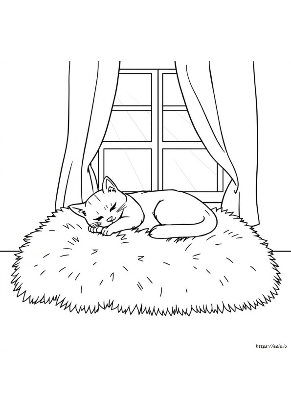 Como desenhar Catnap