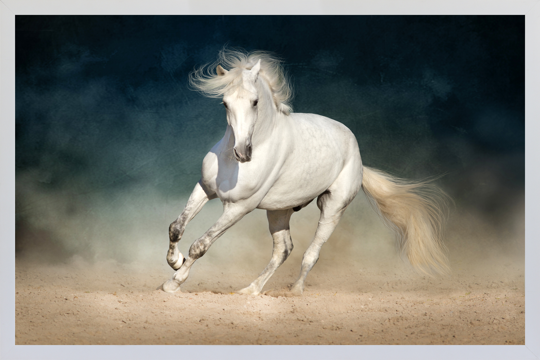Cavalo albino