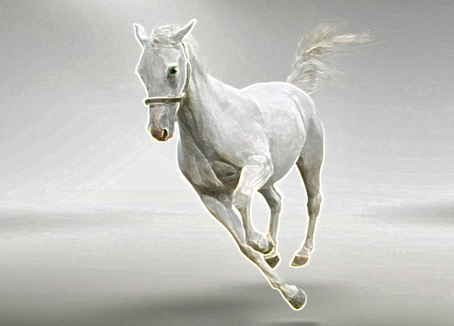 Cachaça Cavalo Branco