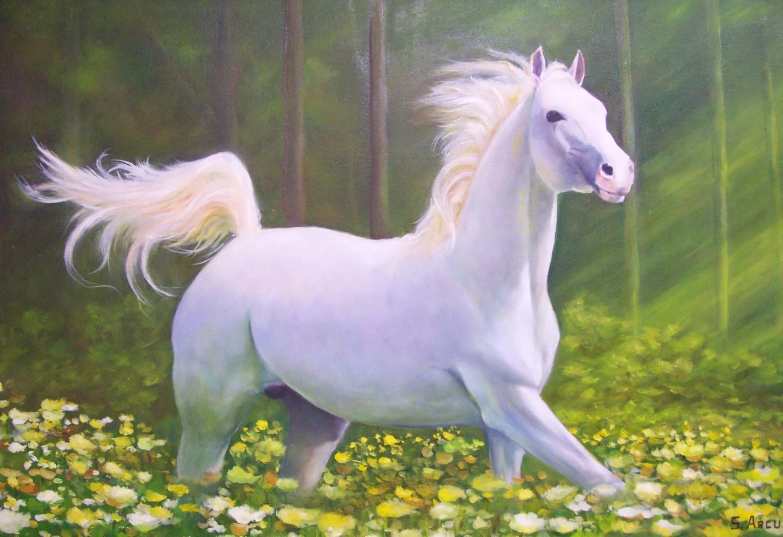 Cachaça Cavalo Branco