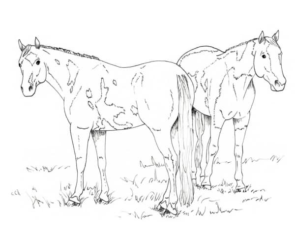 desenhos de cavalos para colorir com flores