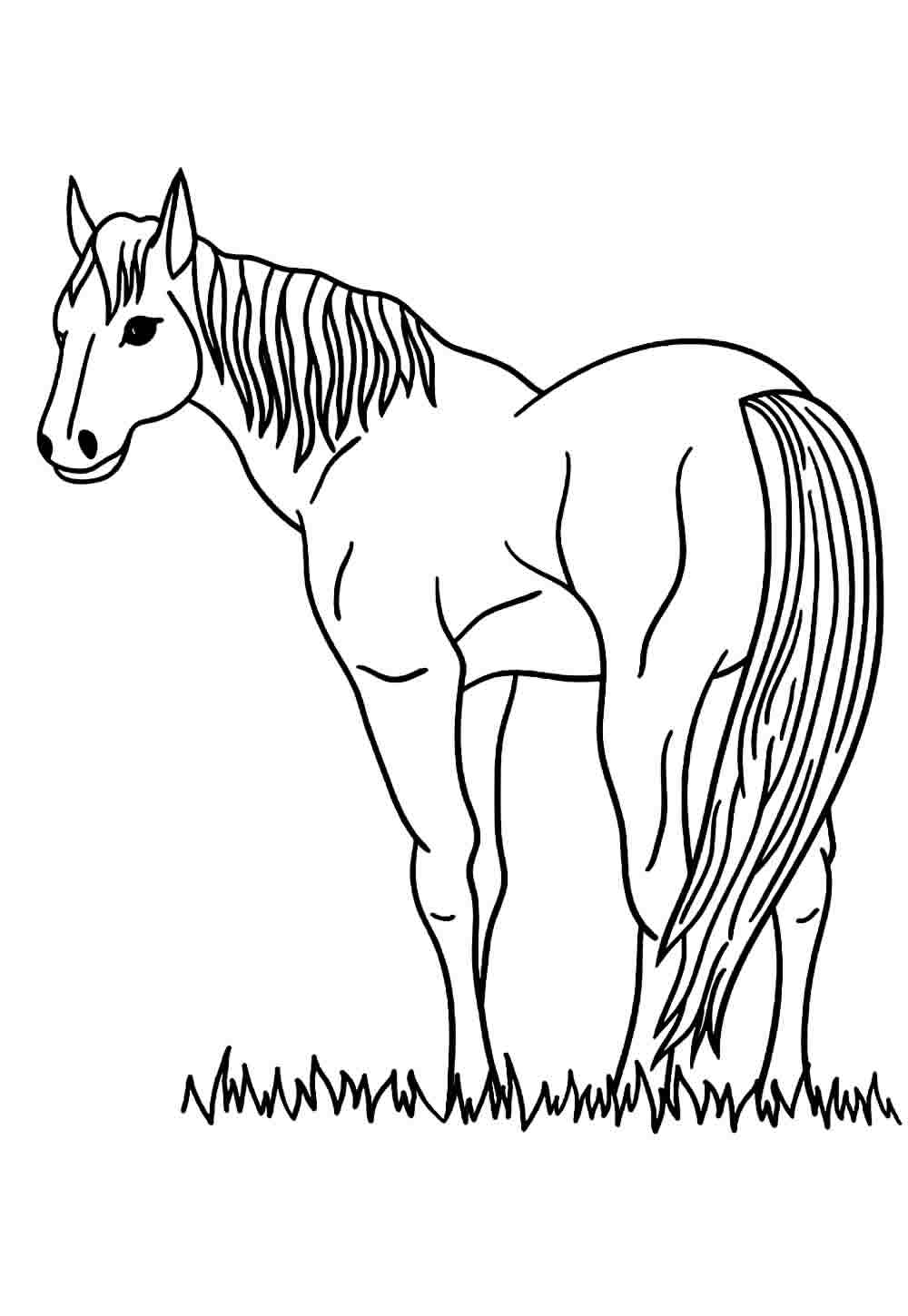 desenho de cavalo para colorir vs. ilustração vetorial