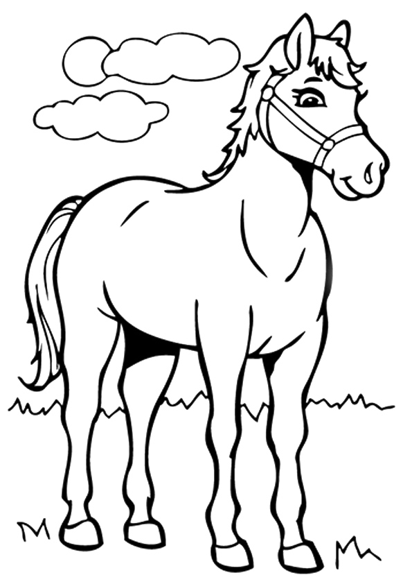 desenho de cavalo para colorir vs. ilustração vetorial
