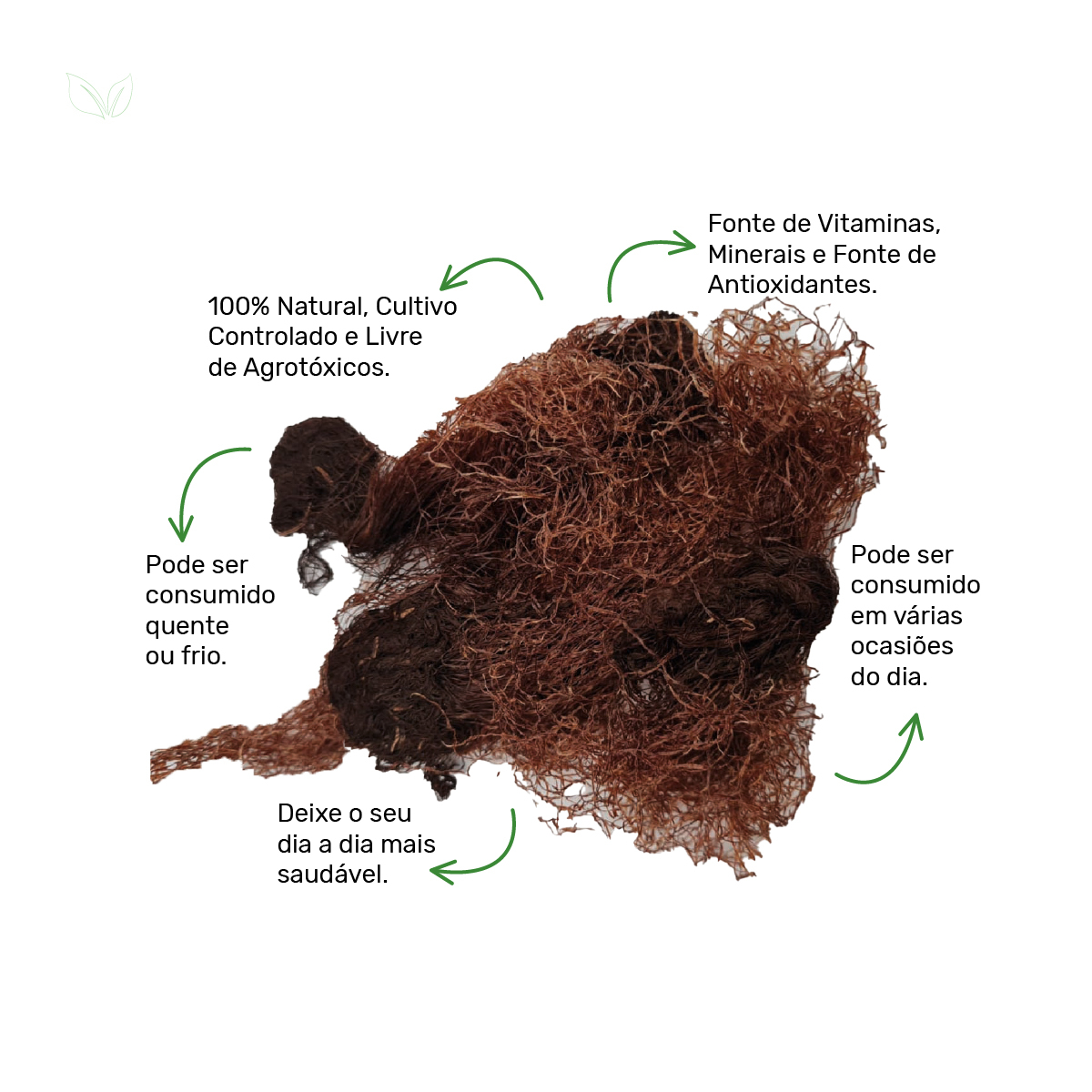 melhores chás para retenção de líquidos