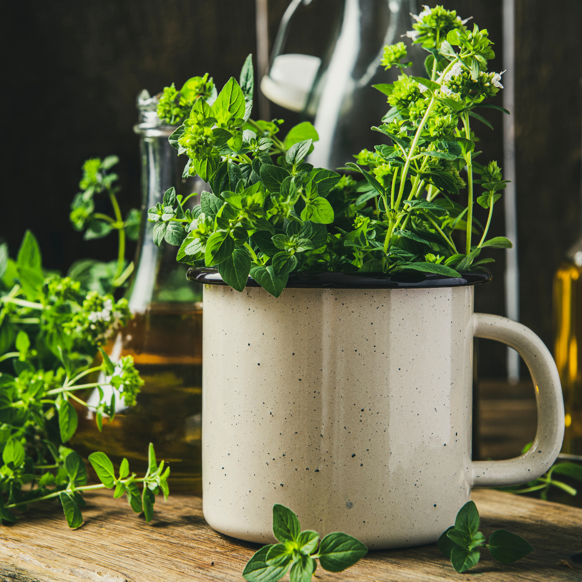 5 ideias de títulos:
1. Chá de Orégano: O Segredo Natural para Aliviar a Tosse e Melhorar a Respiração
2. Como Preparar o Chá de Orégano Perfeito para Combater Sintomas Respiratórios
3. Os Incríveis Benefícios do Chá de Orégano para a Imunidade e Vias Aéreas
4. Chá de Orégano: Cuidados Essenciais e Contraindicações que Você Precisa Saber
5. Descubra o Poder do Chá de Orégano: Um Aliado Natural para Sua Saúde Respiratória