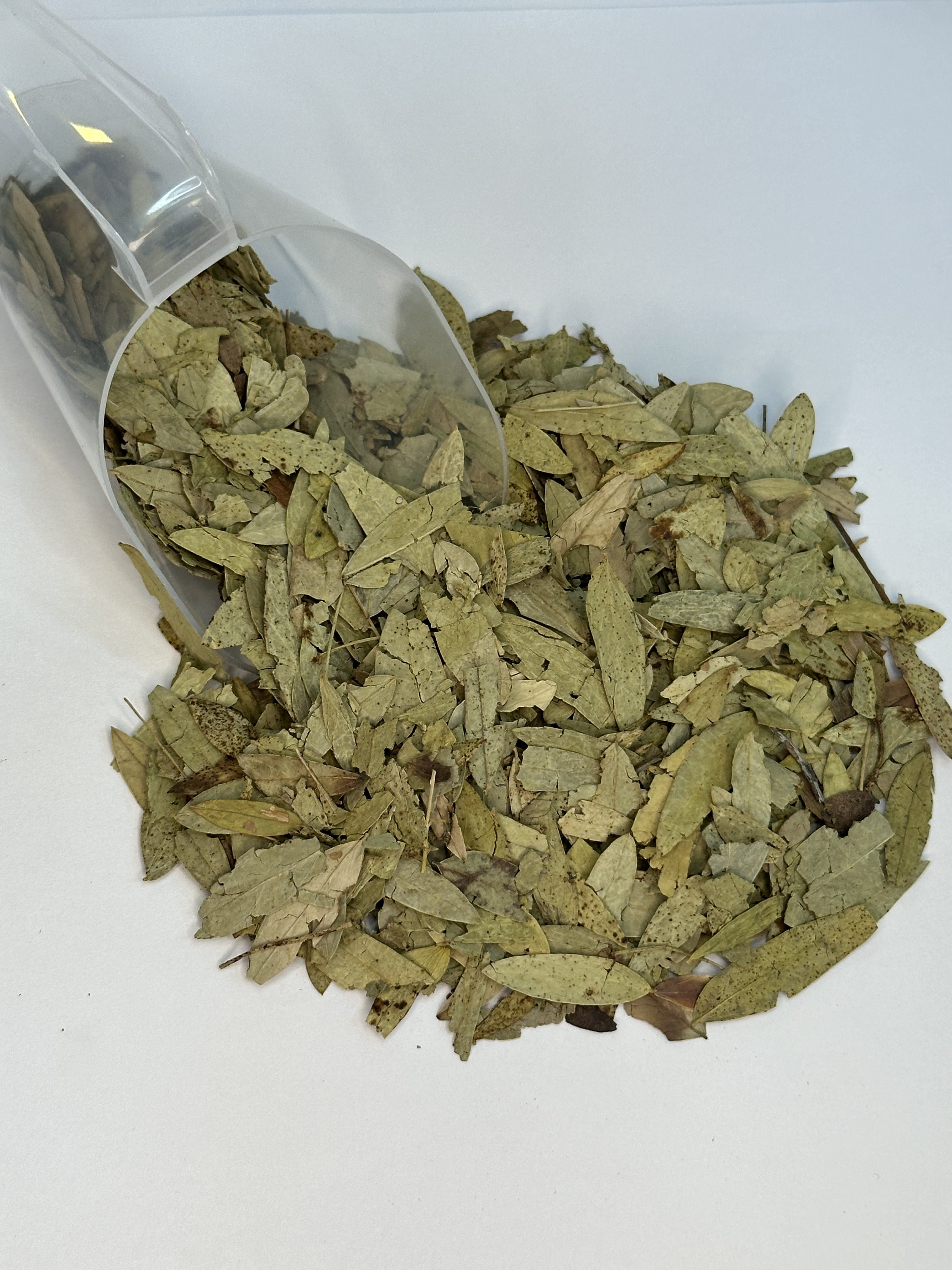 chá de sene para que serve