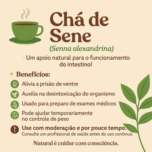 Chá de Sene: Guia Completo de Benefícios e Cuidados Essenciais; Desvendando o Chá de Sene: Mitos e Verdades sobre Emagrecimento e Saúde Intestinal; Intestino Preso? Conheça o Chá de Sene e Suas Alternativas Naturais; Como Usar o Chá de Sene com Segurança: Dosagem