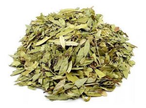 Contraindicações e Efeitos; Chá de Sene para Constipação: Um Laxante Natural Eficaz ou Perigoso?