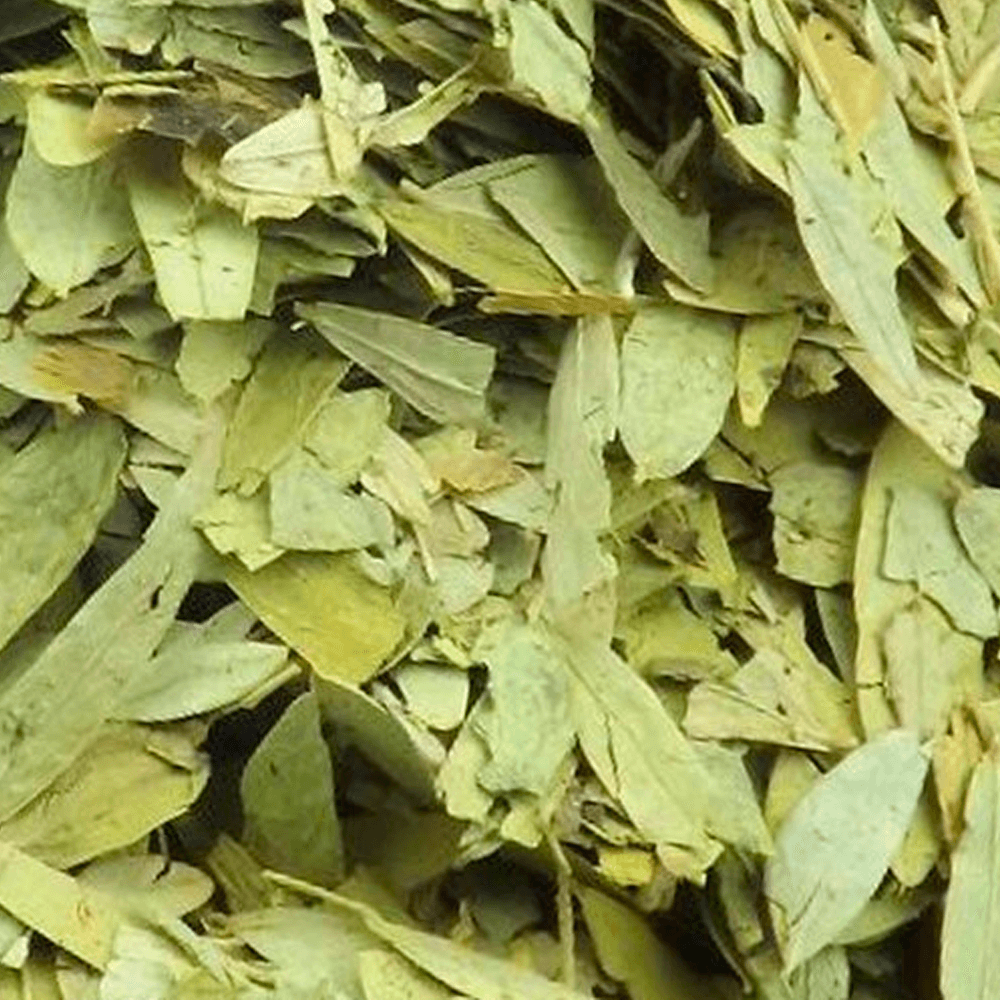 Contraindicações e Efeitos; Chá de Sene para Constipação: Um Laxante Natural Eficaz ou Perigoso?