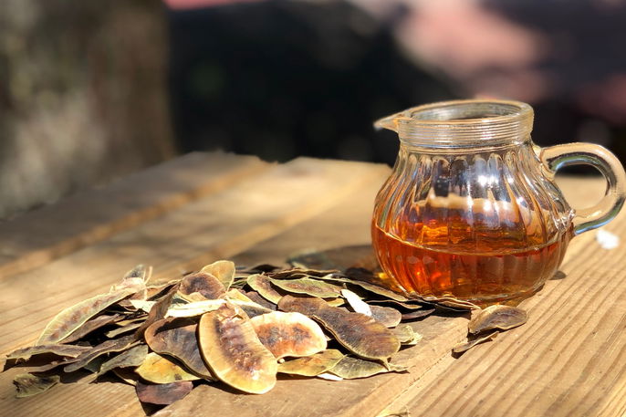 chá de sene para que serve