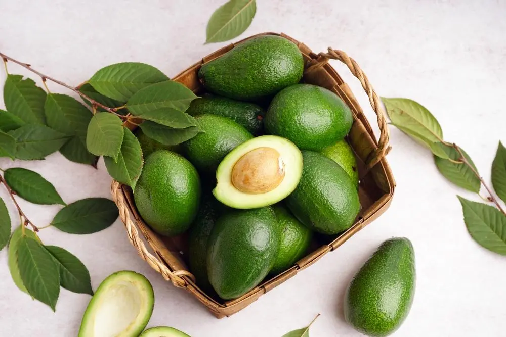 5 ideias de títulos:
1. Chá de Folha de Abacate: Um Guia Completo de Benefícios e Preparo.
2. Descubra os Poderes do Chá de Folha de Abacate para sua Saúde.
3. Chá de Folha de Abacate: Como Usar e Quais os Cuidados Necessários.
4. Chá de Folha de Abacate: Aliado Natural para Diabetes e Colesterol.
5. Receita Simples e Eficaz de Chá de Folha de Abacate.