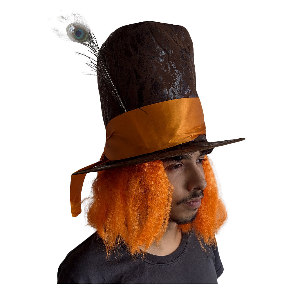 ideias de chapeu maluco para concurso