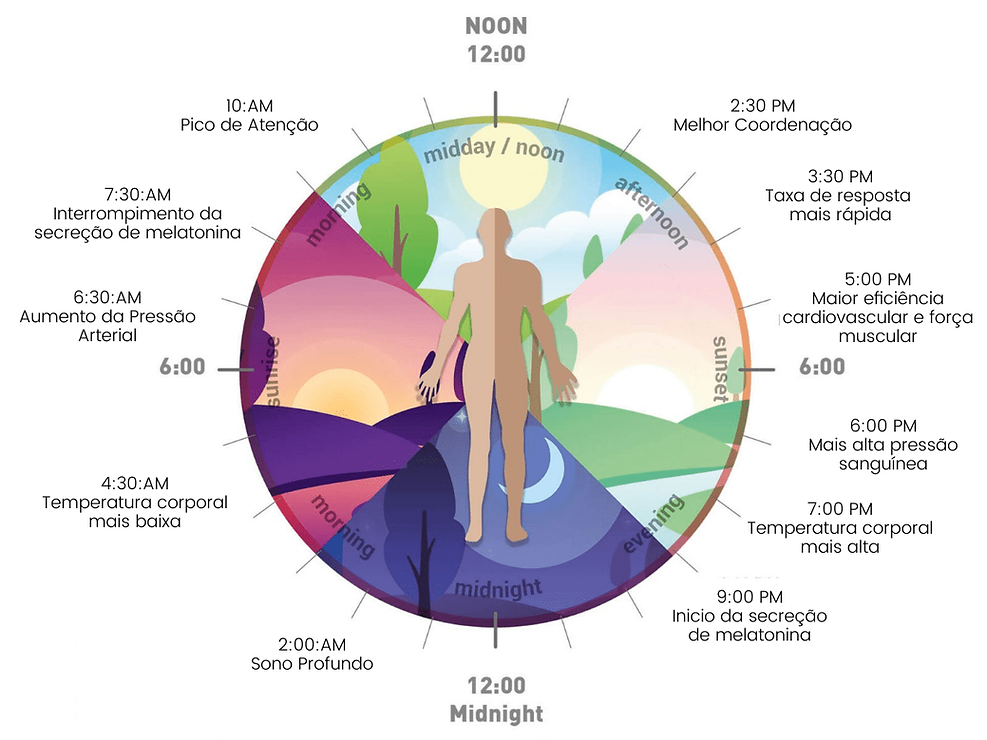 melhores hábitos para regular ciclo circadiano