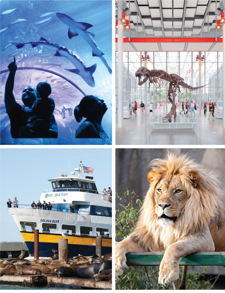 San Francisco CityPASS + Alcatraz: Vale a Pena o Upgrade?