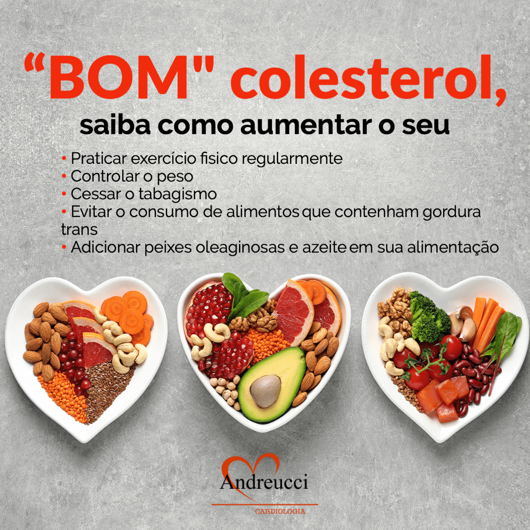 LDL vs. HDL: Entenda a Diferença e a Importância para sua Saúde Cardíaca