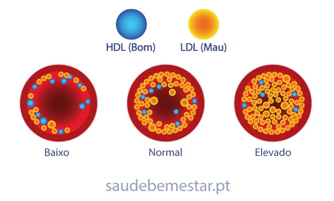 Alimentos que Aumentam o Colesterol Bom (HDL): Guia Completo de Nutrição