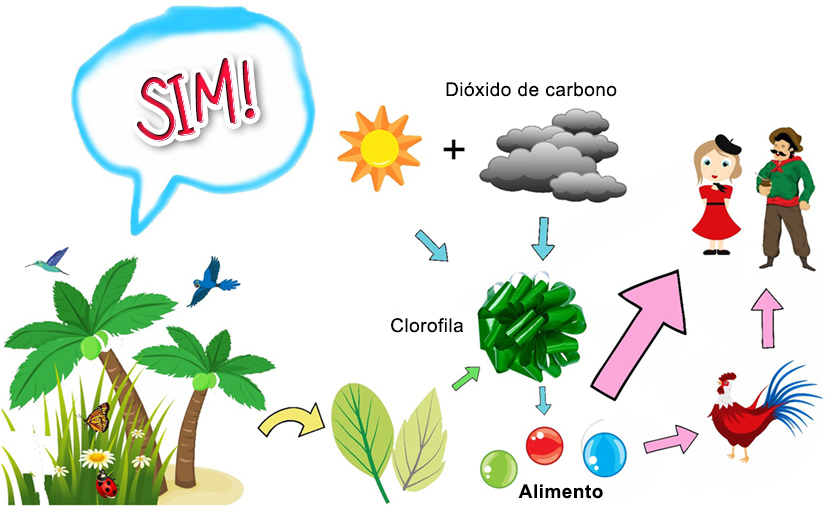 Plantas Autotróficas: Como Elas Sustentam a Vida na Terra