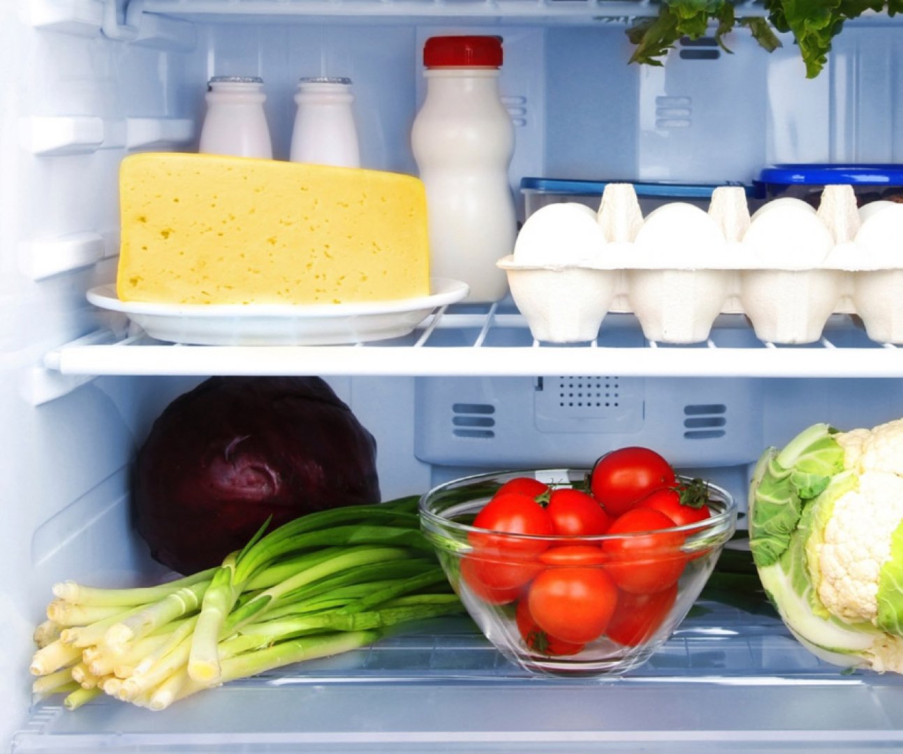 Guia Completo: Como Conservar Cada Tipo de Queijo para Aumentar a Durabilidade