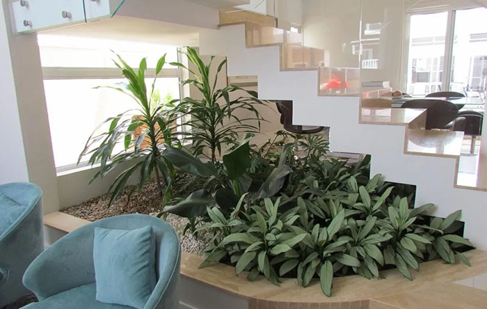 Como escolher o vaso ideal e garantir a drenagem perfeita no seu jardim