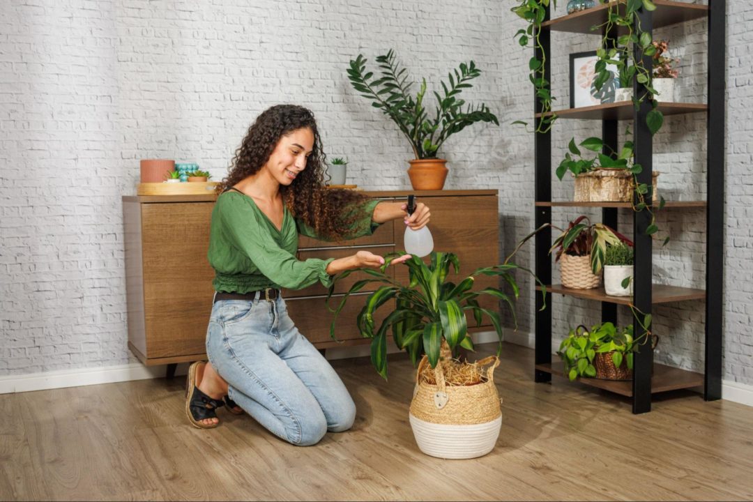 5 ideias para decorar seu aparador