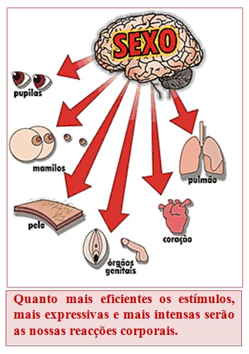 Superando a falta de excitação: quando procurar ajuda