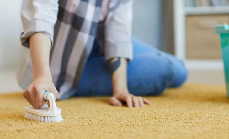 Quando contratar uma lavanderia profissional para seu tapete felpudo