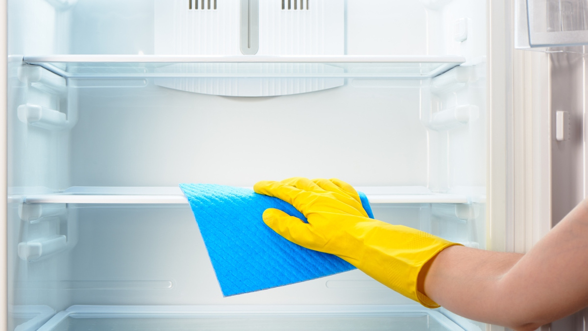 como limpar borracha da geladeira com mofo